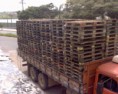 Reforma de Pallets em Geral (Preço a Combinar)
